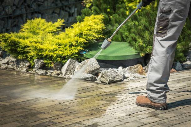 Best Window and Screen Pressure Cleaning in Amador Pines, CA