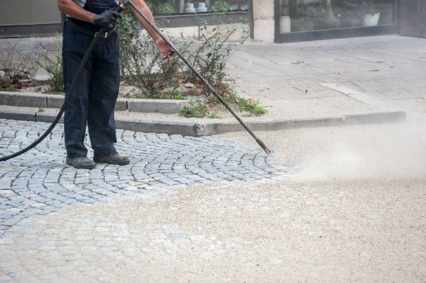 Best Fence Cleaning and Maintenance in Amador Pines, CA